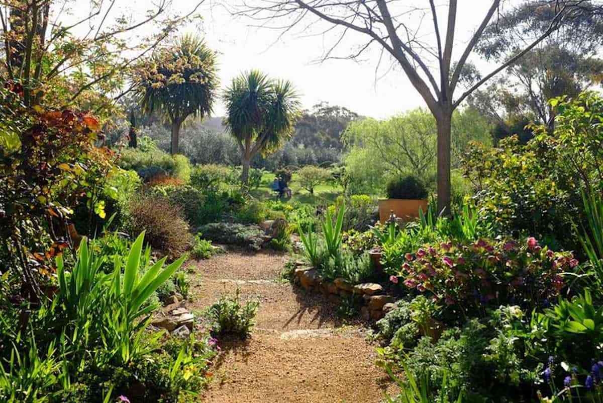 Ideas para tener un jardín sostenible de bajo mantenimiento 7