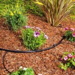 Ideas para tener un jardín sostenible de bajo mantenimiento 3