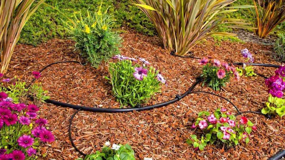 Ideas para tener un jardín sostenible de bajo mantenimiento 2