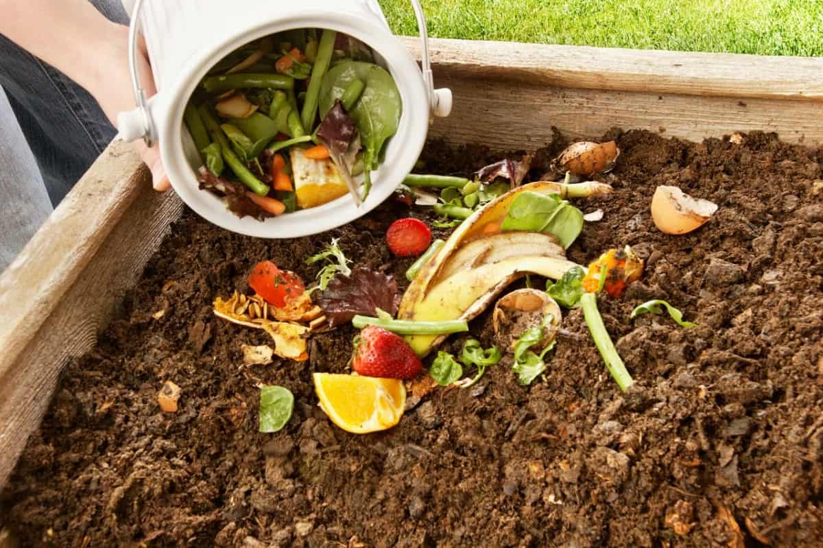 Ideas para tener un jardín sostenible de bajo mantenimiento 9