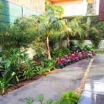 Ideas para tener un jardín sostenible de bajo mantenimiento 9