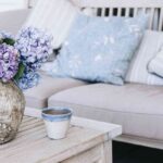 Plantas con flor para decorar tu hogar en primavera 8