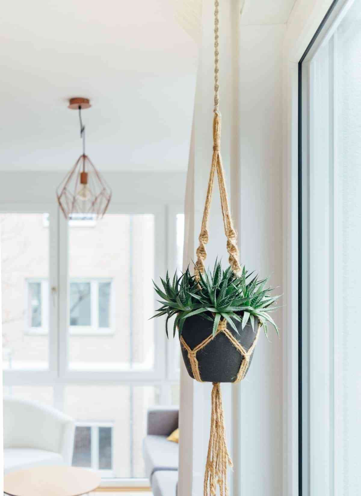 decorar con plantas y macrame