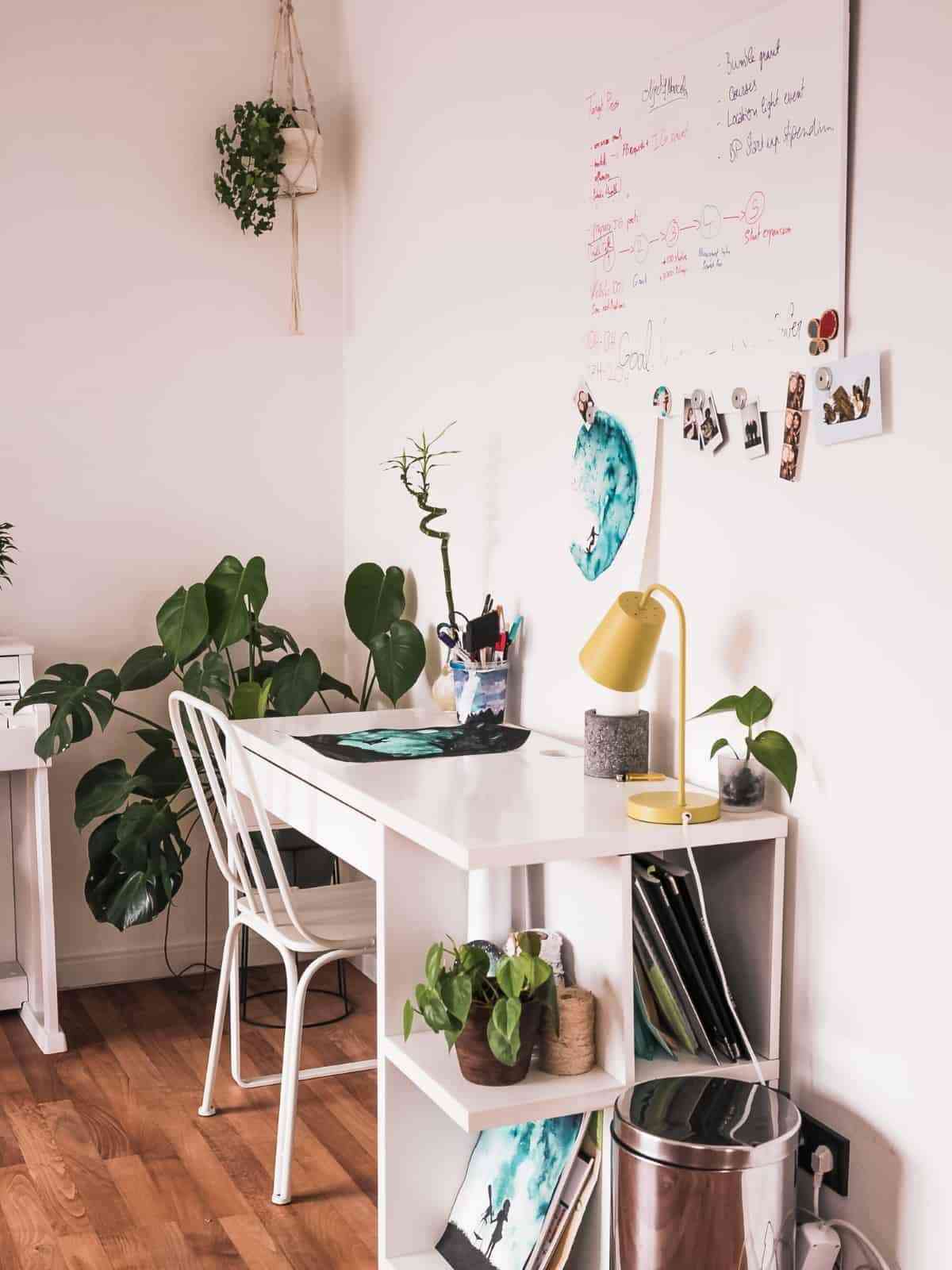 plantas y macrame para decoracion