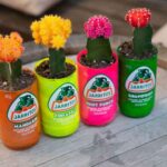 dia mundial del reciclaje maceteros