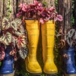 dia mundial reciclaje