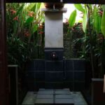 interiorismo vegetal