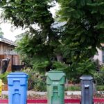 reciclar dia mundial del reccilaje