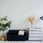 alexandra-gorn-JIUjvqe2ZHg-unsplash (1)