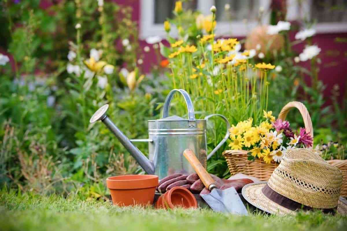 Cómo cuidar el jardín como un profesional 1
