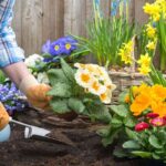 Cómo cuidar el jardín como un profesional 4