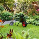 Cómo cuidar el jardín como un profesional 8