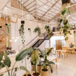 jonathan-borba-d-RR7nNcUB8-unsplash