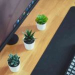 nubelson-fernandes-4jQ1ZSaQfXE-unsplash