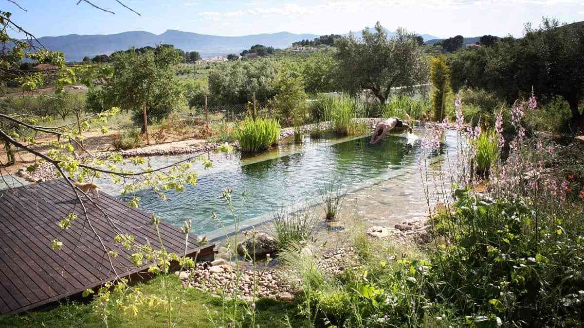 Piscinas naturales: ventajas, inconvenientes y tipología 6