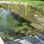 Piscinas naturales 1