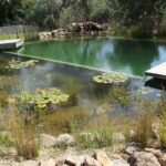 Piscinas naturales 6