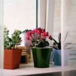 viktoriya-CkBSC_c8Xe0-unsplash