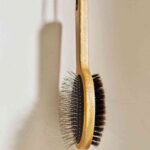 cepillo para mascotas zara home