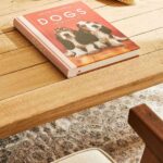 coleccion mascotas zara home libro sobre perros