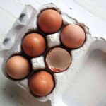 fertilizante casero con cascaras de huevo