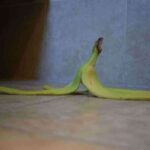 fertilizante casero con cascaras de plantano