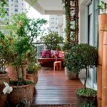 Ideas para distribuir las plantas en la terraza 1