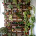 Ideas para distribuir las plantas en la terraza 3