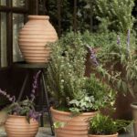 Ideas para distribuir las plantas en la terraza 6