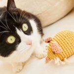 juguetes de zara home para mascotas