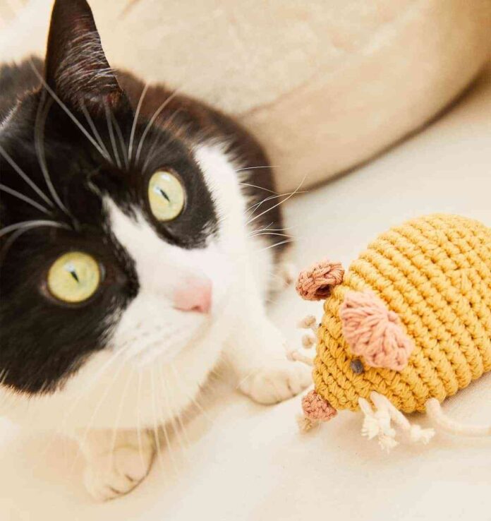 juguetes de zara home para mascotas