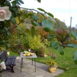 terraza con plantas 1