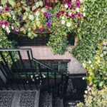 terraza con plantas 2