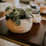 artesanias de cesteria