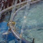 Water,Flowing,From,The,Nozzles,Of,City,Fountains,On,A