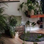 plantas urban jungle