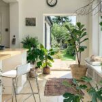 Trucos caseros para el cuidado de las plantas 10