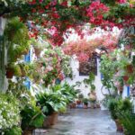 Trucos caseros para el cuidado de las plantas 2