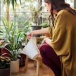 Trucos caseros para el cuidado de las plantas 8