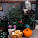 decorar la entrada con calabazas