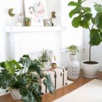 Effortless chic un estilo relajado para decorar tu hogar 5