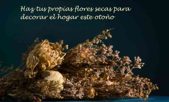 hacer flores secas en casa