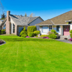 cesped en jardin grande