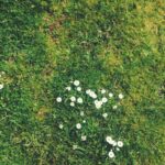 eric-lagergren-mqtn_g1ogIY-unsplash