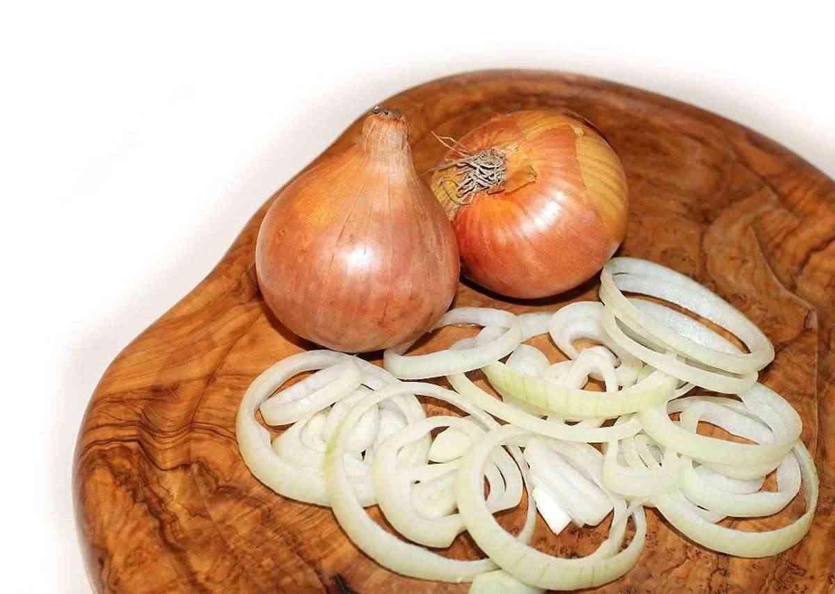 ¿Sabías que todo lo que necesitas para cuidar tus plantas está en tu cocina? 2 cebollas para cuidar tus plantas