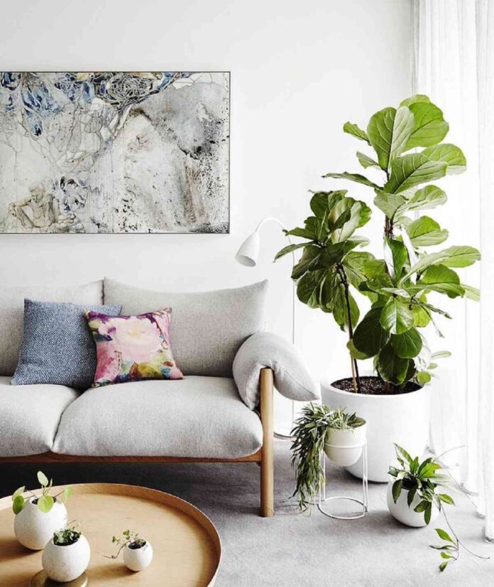 decorar tu primera vivienda