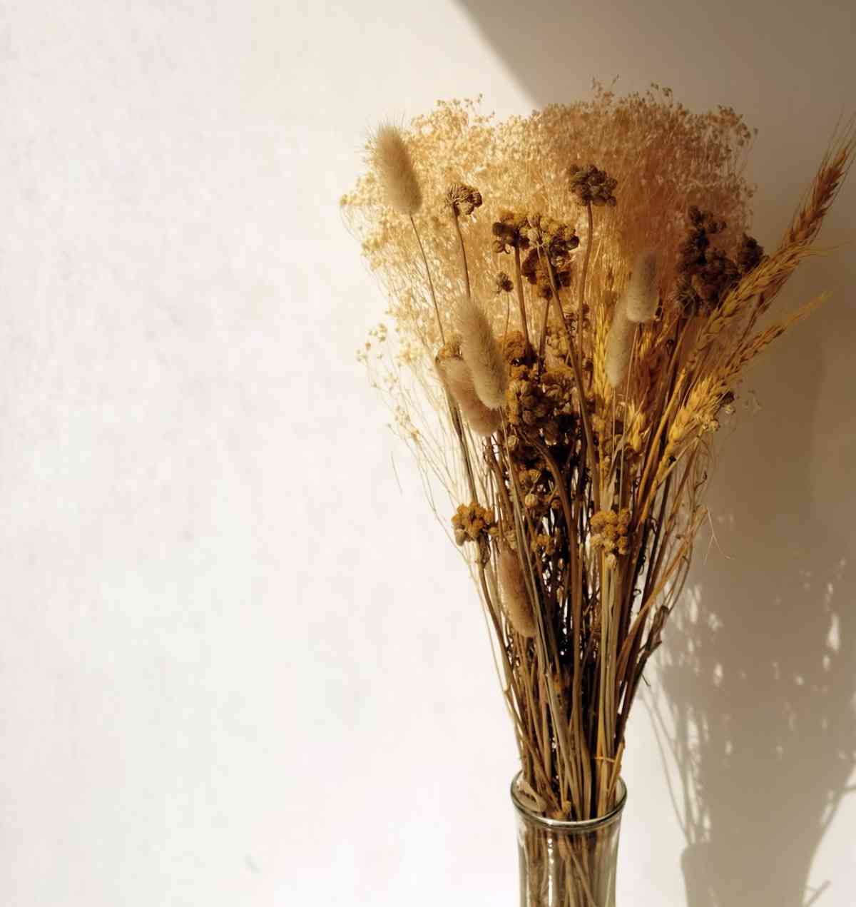Flores secas: el toque de otoño para decorar que tú puedes hacer en casa 4