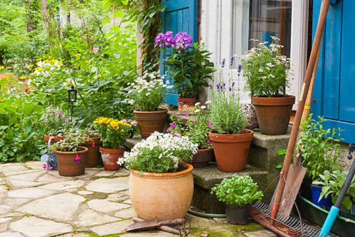 Cómo cuidar las plantas de exterior en otoño 3