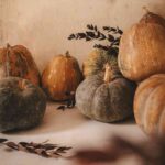 como secar calabazas