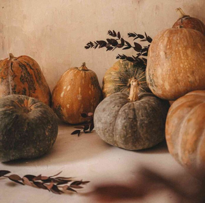 secado de calabazas en casa